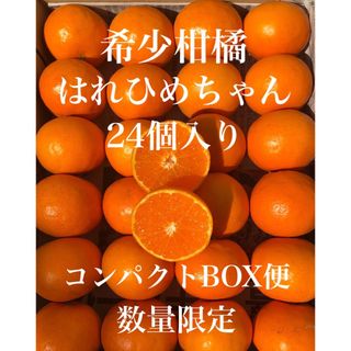 愛媛県産 ミカン はれひめちゃん コンパクトBOX発送 柑橘 果物みかん(フルーツ)