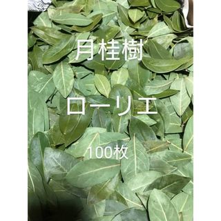 無農薬、月桂樹　ローリエ　ハーブ　スパイス(野菜)