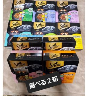 シーバ(Sheba)の選べるシーバデュオ２箱(20g×20袋)(ペットフード)