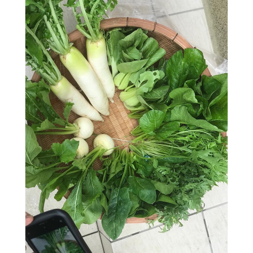 東温農園【無農薬】【農家直送】採れたてお野菜詰め合わせ♪♪ 食品/飲料/酒の食品(野菜)の商品写真