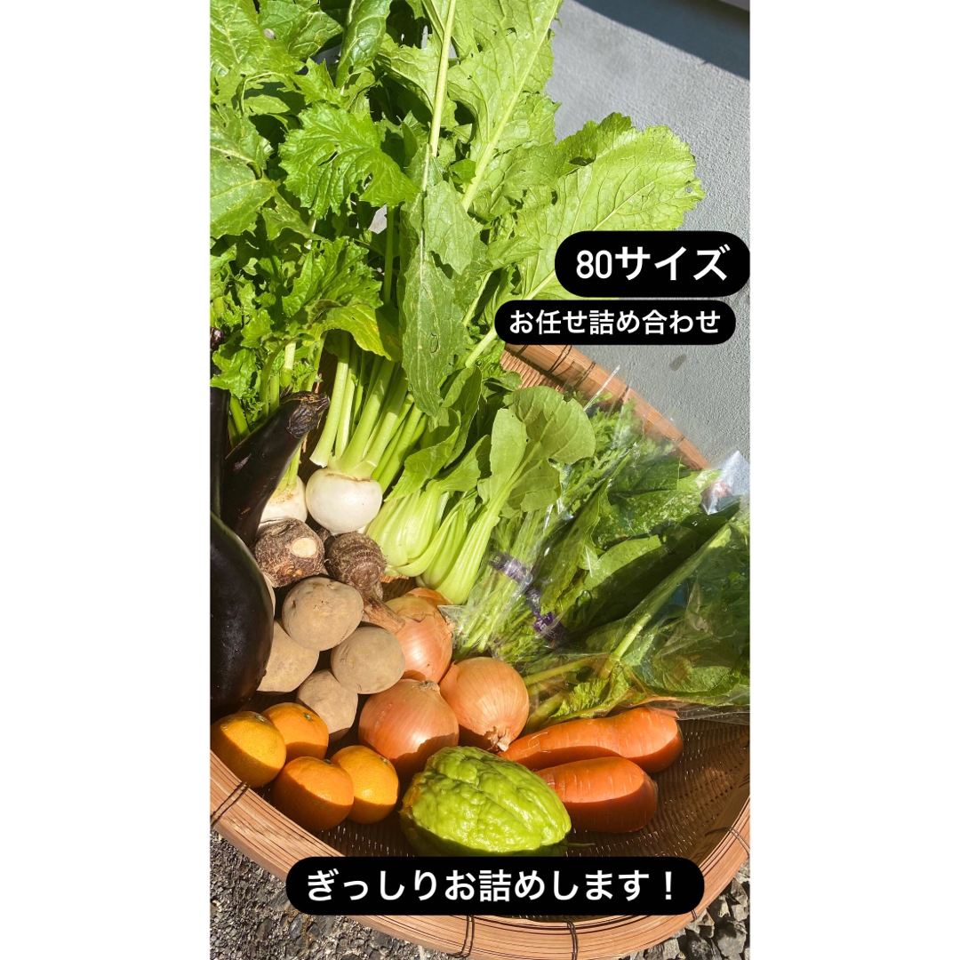 東温農園【無農薬】【農家直送】採れたてお野菜詰め合わせ♪♪ 食品/飲料/酒の食品(野菜)の商品写真