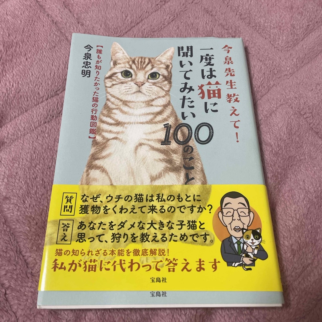 宝島社(タカラジマシャ)の今泉先生教えて！一度は猫に聞いてみたい１００のこと エンタメ/ホビーの本(住まい/暮らし/子育て)の商品写真
