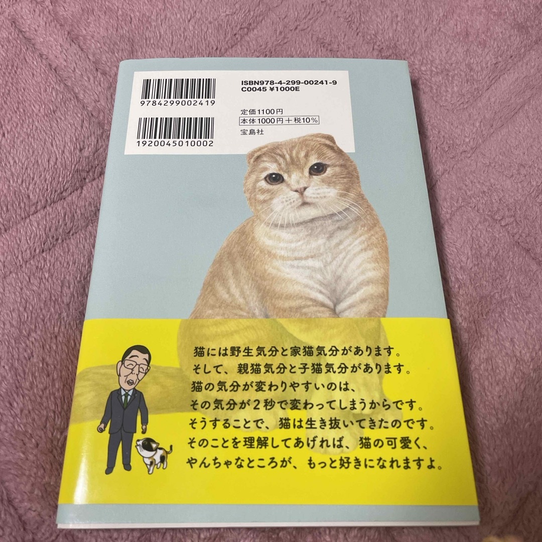 宝島社(タカラジマシャ)の今泉先生教えて！一度は猫に聞いてみたい１００のこと エンタメ/ホビーの本(住まい/暮らし/子育て)の商品写真