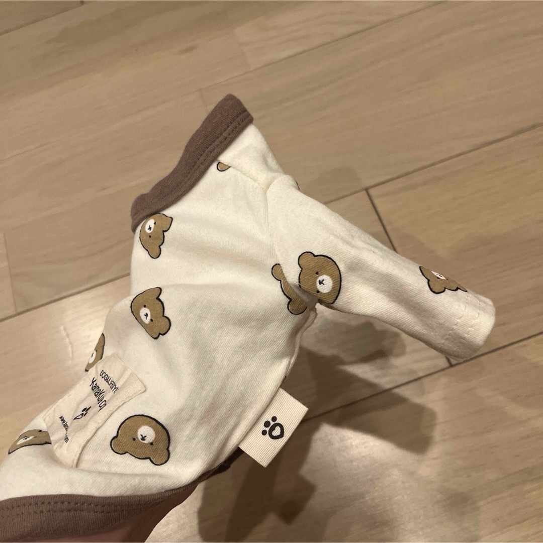 KAMAKURA DOG(カマクラドッグ)の新品 未使用 犬服 犬 ドッグウェア Tシャツ ペット服 くま クマ トップス その他のペット用品(犬)の商品写真
