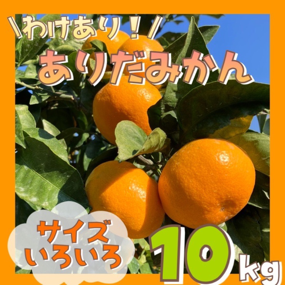 わけあり 和歌山県産 有田みかん 10kg 【サイズ混合】ミカン 食品/飲料/酒の食品(フルーツ)の商品写真