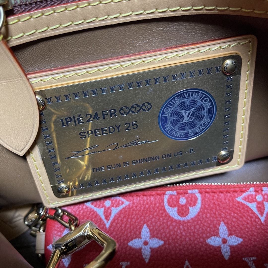 LOUIS VUITTON(ルイヴィトン)のスピーディ25  バンドリエール  ルイヴィトン　ファレル メンズのバッグ(ショルダーバッグ)の商品写真