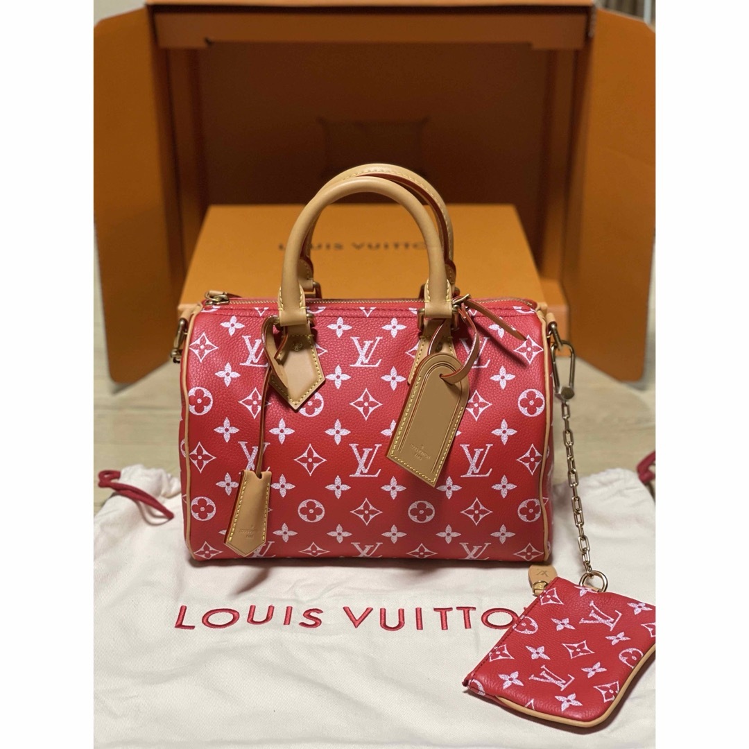 LOUIS VUITTON(ルイヴィトン)のスピーディ25  バンドリエール  ルイヴィトン　ファレル メンズのバッグ(ショルダーバッグ)の商品写真