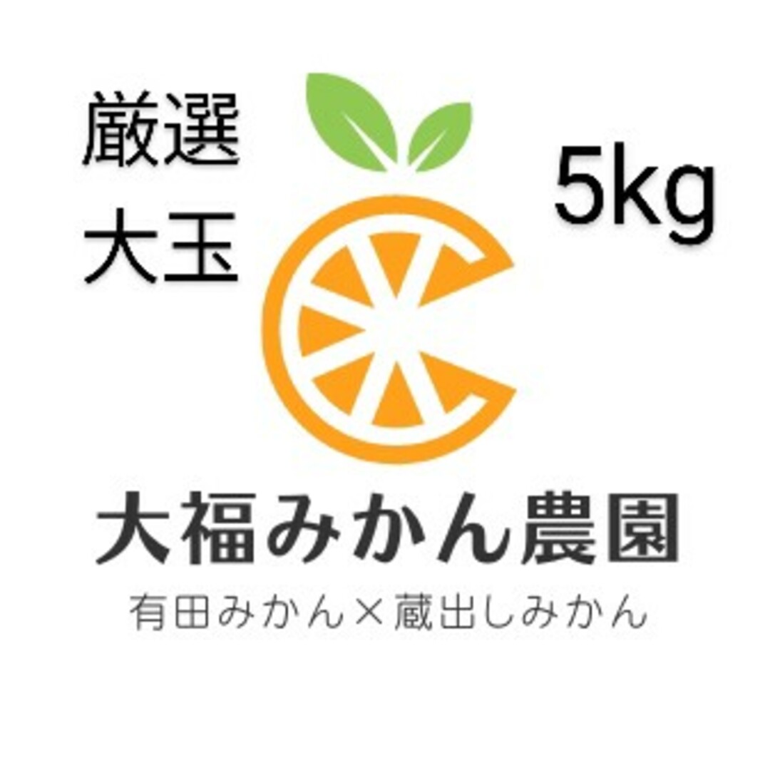 有田みかん(アリダミカン)の【大人気】厳選大玉(有田みかん・蔵出しみかん)5kg　大福みかん農園 食品/飲料/酒の食品(フルーツ)の商品写真