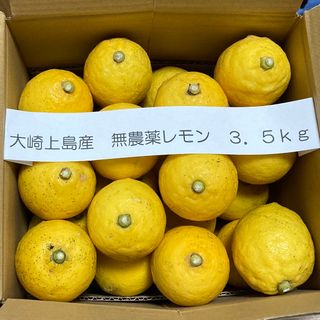 広島県大崎上島産無農薬レモン　3.5kg(フルーツ)