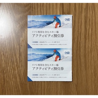 日本駐車場開発　株主優待券　リフト　アクティビティ割引券　2枚セット(スキー場)