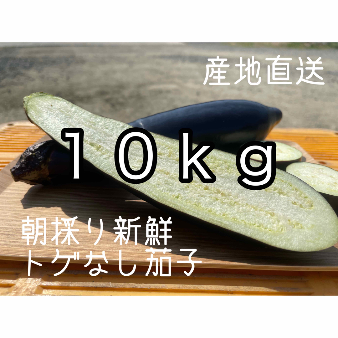 100サイズ　箱いっぱい　産地直送　農家直送　朝採り　新鮮野菜　茄子　ナス　なす 食品/飲料/酒の食品(野菜)の商品写真