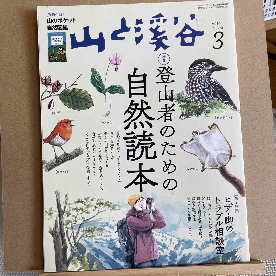 山と渓谷 2019年 03月号 [雑誌] エンタメ/ホビーの雑誌(趣味/スポーツ)の商品写真