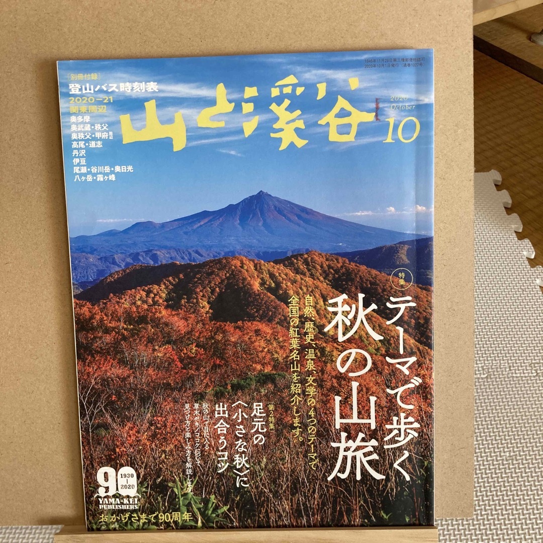 山と渓谷 2020年 10月号 [雑誌] エンタメ/ホビーの雑誌(趣味/スポーツ)の商品写真