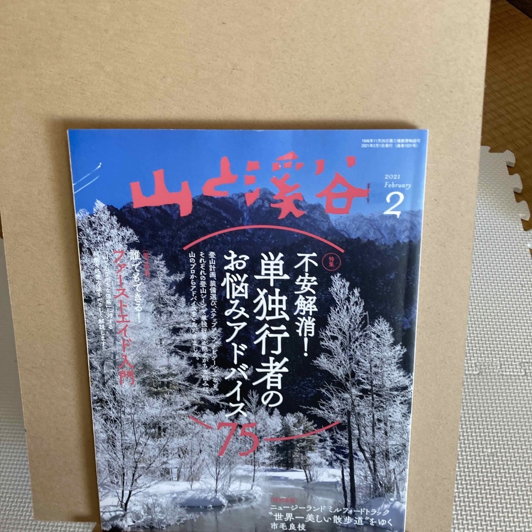 山と渓谷 2021年 02月号 [雑誌] エンタメ/ホビーの雑誌(趣味/スポーツ)の商品写真