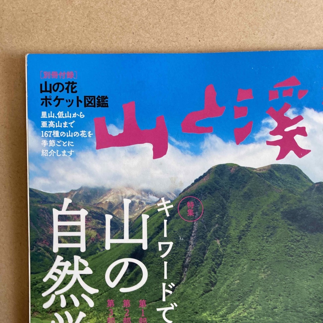 山と渓谷 2020年 04月号 [雑誌] エンタメ/ホビーの雑誌(趣味/スポーツ)の商品写真