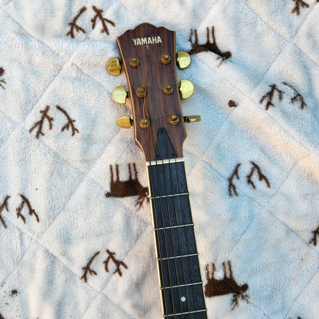 ギターアコースティックギター