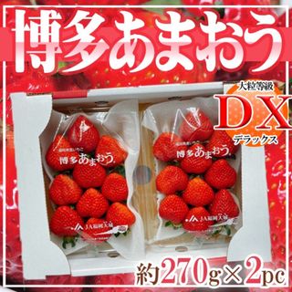 福岡県産　あまおう　DX等級　約270ｇ×2パック(フルーツ)