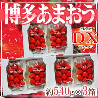 福岡県産　あまおう　DX等級　約270ｇ×6パック(フルーツ)