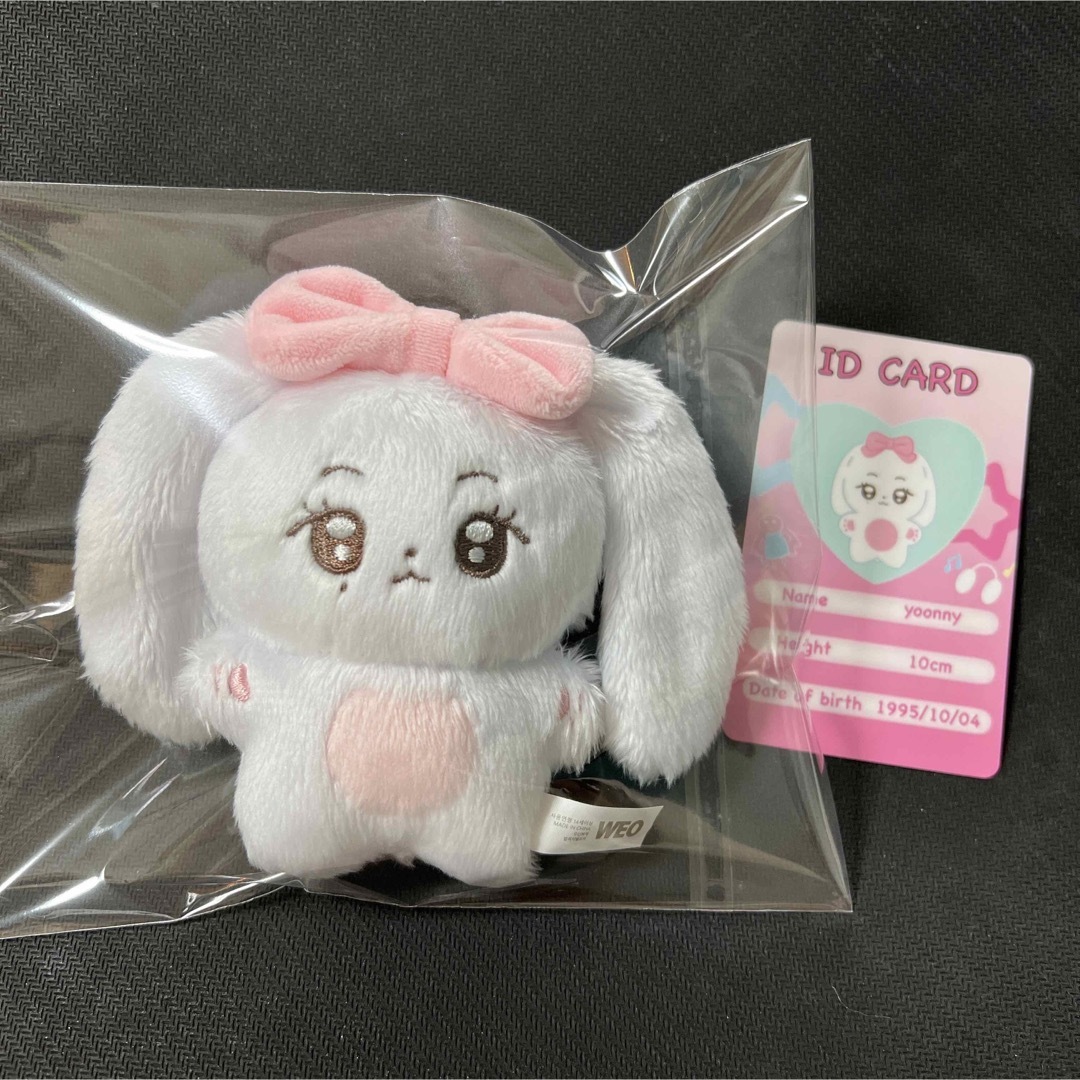 SEVENTEEN ジョンハン マスター ぬいぐるみ 10cm Bタレントグッズ