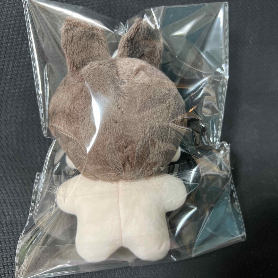 BTS ジョングク ぬいぐるみ 10cm 新品 マスター BTS ジョングク ぬいぐるみ 10cm 新品 マスター