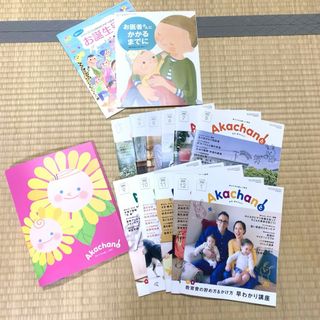 月刊　赤ちゃんと！　ファイル・お誕生号・お医者さんにかかるまでに・2023/3-(住まい/暮らし/子育て)