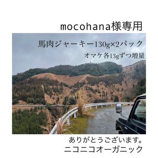 mocohana様専用(犬)