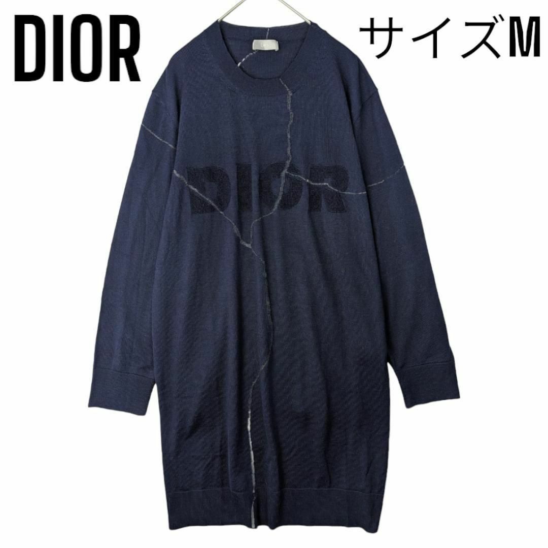DIOR HOMME - 定価14万円【美品】20AW ディオールDIOR×ダニエル DIOR HOMME - 定価14万円【美品】20AW ディオールDIOR×ダニエル