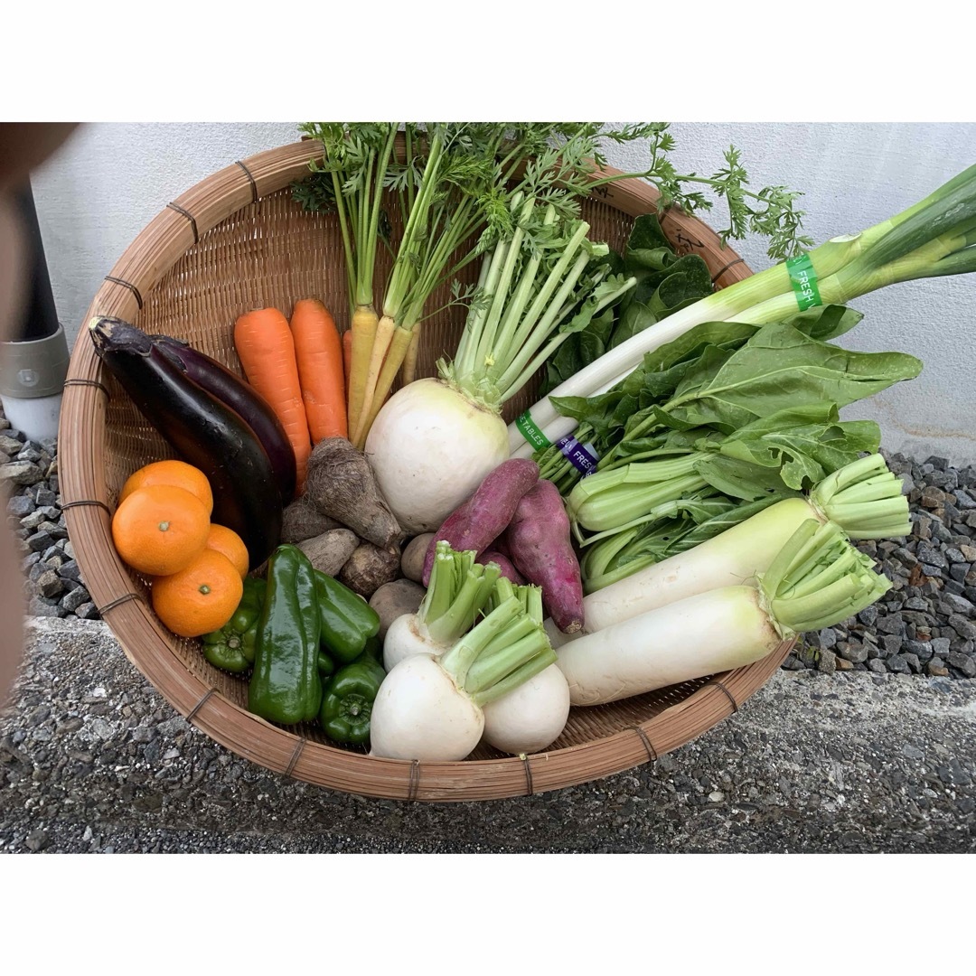 無農薬野菜、朝どれ、野菜セット 食品/飲料/酒の食品(野菜)の商品写真