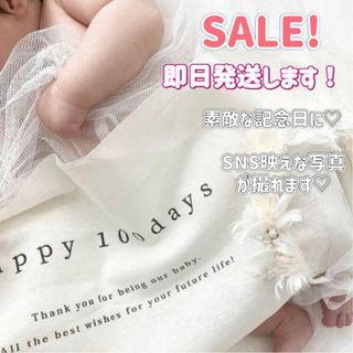 100日祝い お食い初め タペストリー  おうちフォト　HAPPY100days(お食い初め用品)