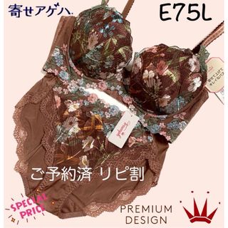 トリンプ(Triumph)のE75L トリンプ  プレミアム 寄せアゲハ 0092 ブラ＆ショーツBrown(ブラ&ショーツセット)