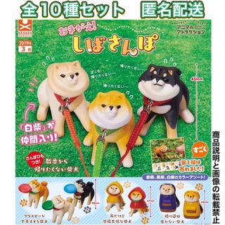 おきがえ! しばさんぽ 全10種 ガチャ もんとみ 柴犬 フィギュア(キャラクターグッズ)