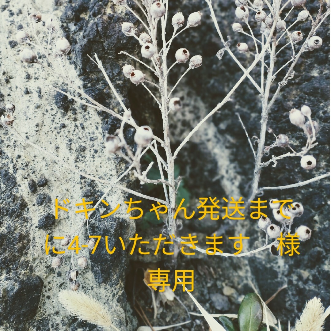 学研(ガッケン)のスモック　紫　保育士　幼稚園教諭　エプロン　割烹着 レディースのレディース その他(その他)の商品写真