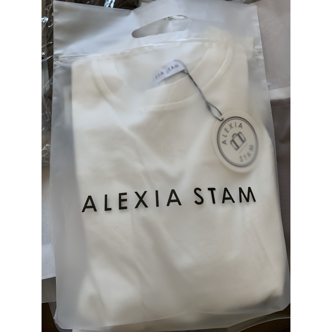 ALEXIA STAM(アリシアスタン)のnaaa様専用 レディースのトップス(カットソー(長袖/七分))の商品写真