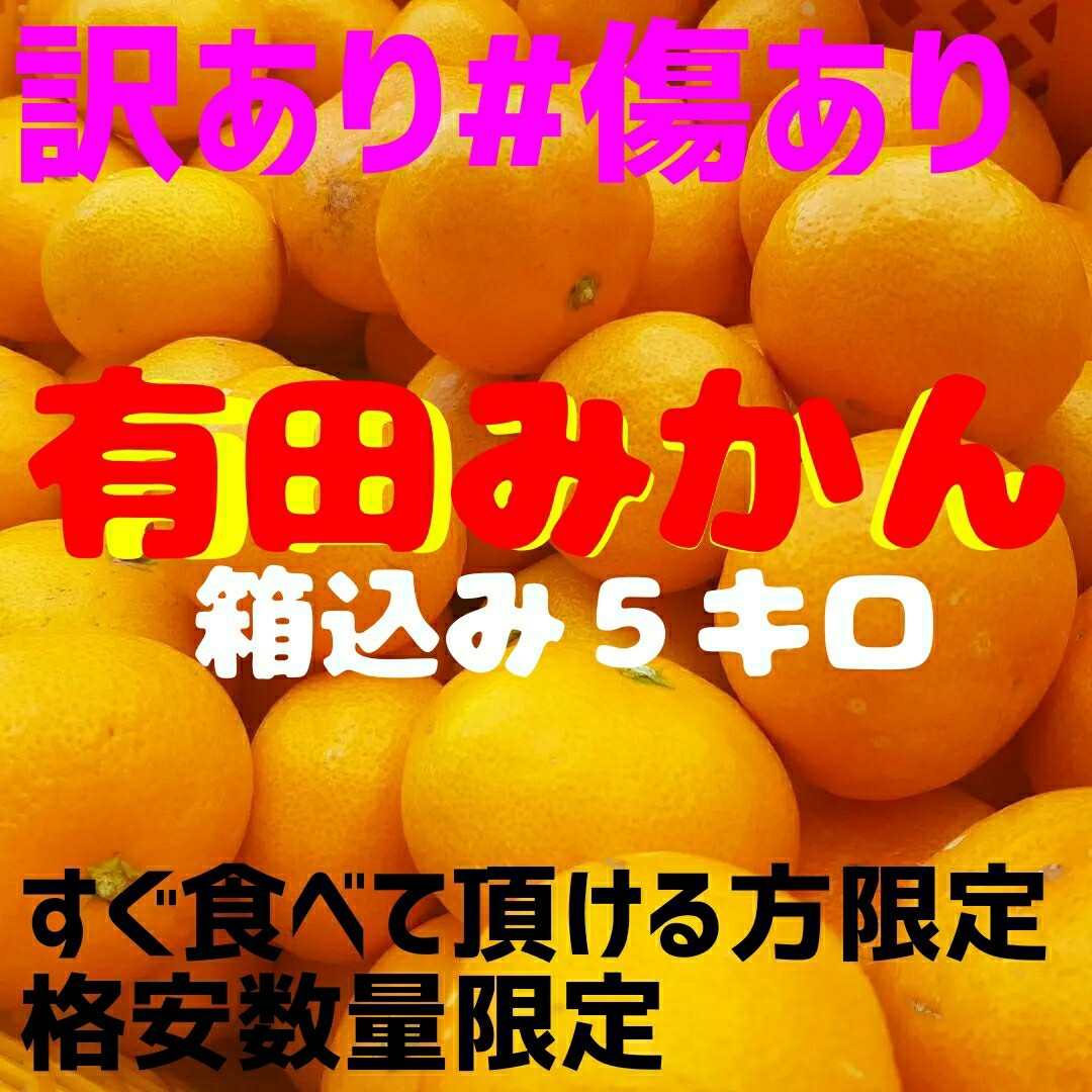 有田みかん#和歌山県有田産#訳あり傷あり格安数量限定#５キロ 食品/飲料/酒の食品(フルーツ)の商品写真