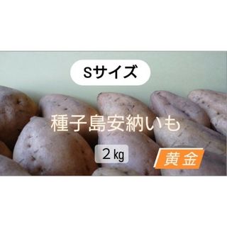 種子島安納いも黄金S　2キロ(野菜)