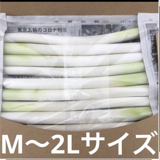 カット白長ネギ　　　A4サイズ(野菜)