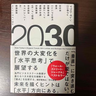 ２０３０(ビジネス/経済)