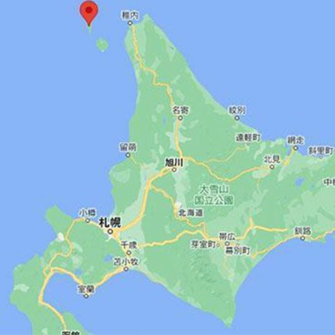 【絶滅危惧種】 フタナミソウ 種子 15粒 北海道礼文島産 高山植物 山野草 その他のその他(その他)の商品写真