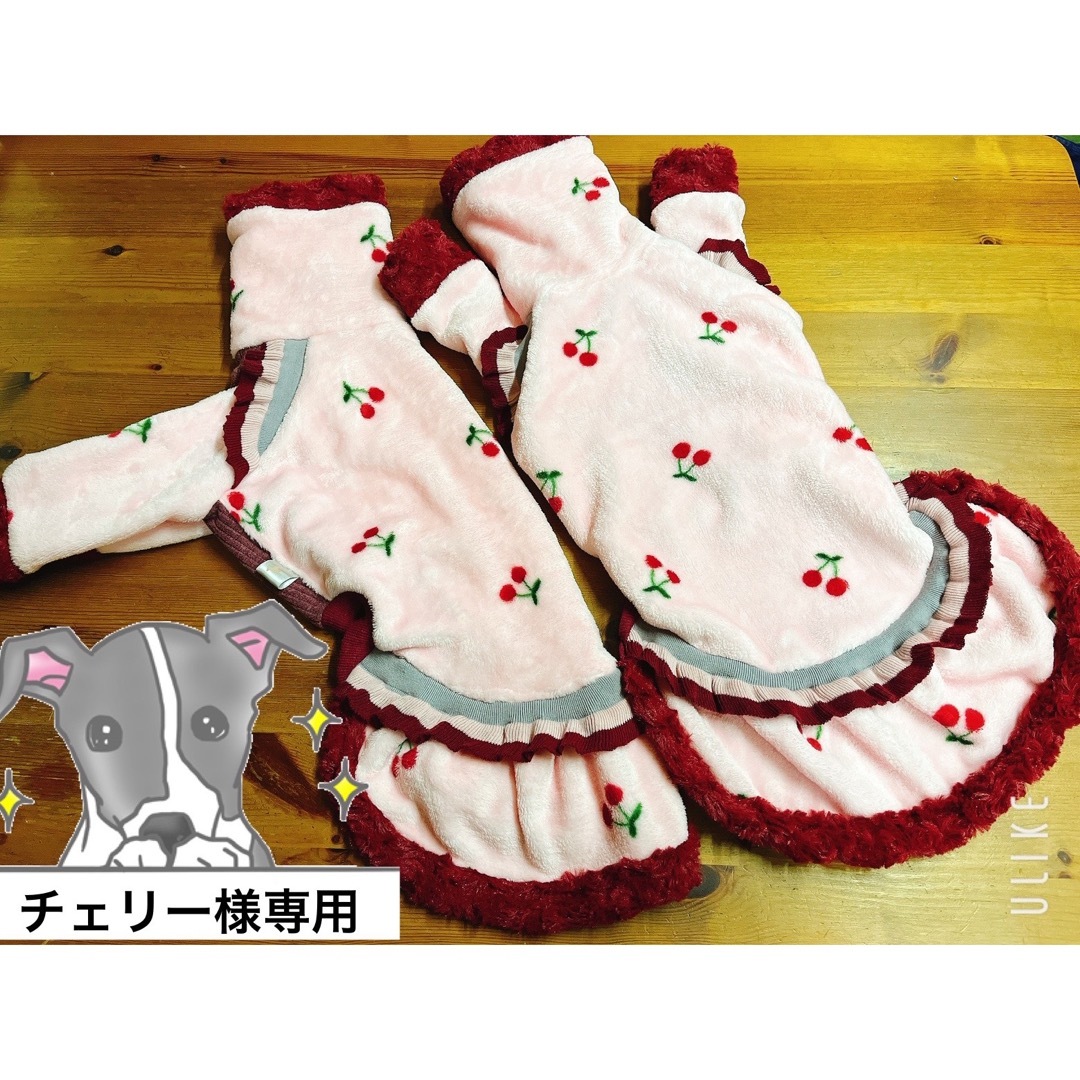 【専用】イタグレさんのワンピース🍒 その他のペット用品(犬)の商品写真