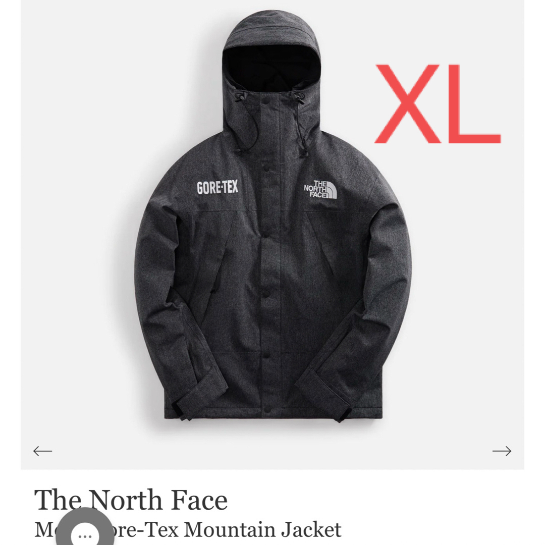 THE NORTH FACE(ザノースフェイス)のTHE NORTH FACE ゴアテックス GORE-TEX メンズのジャケット/アウター(マウンテンパーカー)の商品写真