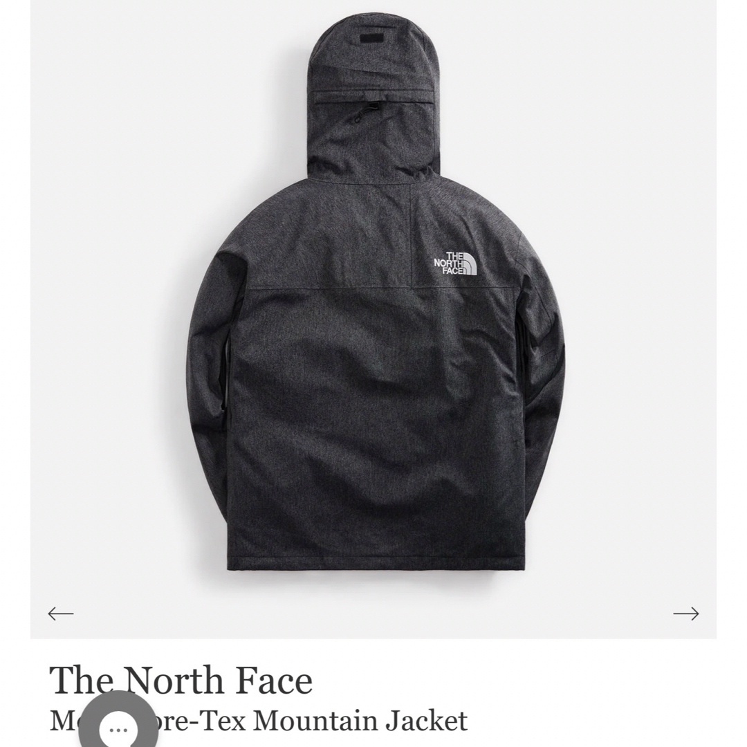 THE NORTH FACE(ザノースフェイス)のTHE NORTH FACE ゴアテックス GORE-TEX メンズのジャケット/アウター(マウンテンパーカー)の商品写真