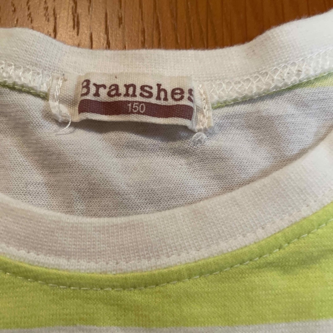 Branshes(ブランシェス)の子供服　Tシャツ　150 キッズ/ベビー/マタニティのキッズ服男の子用(90cm~)(Tシャツ/カットソー)の商品写真