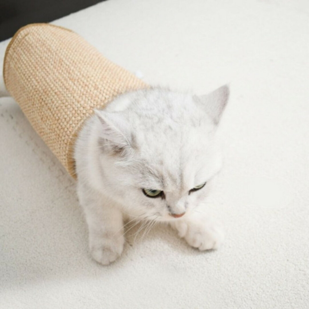 【 2枚セット 】猫用爪とぎマット ブラウン 40×30cm キャット 送料無料 その他のペット用品(猫)の商品写真