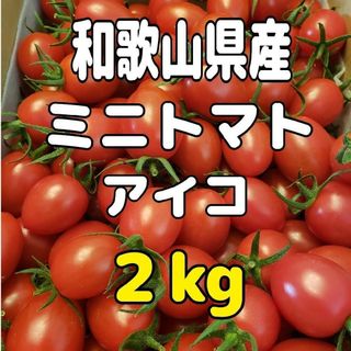 和歌山県産 ミニトマト アイコ ２kg(野菜)