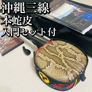 入門セット 沖縄三線 本蛇皮 強化張り 伝統楽器 弦楽器 本皮 和楽器楽器