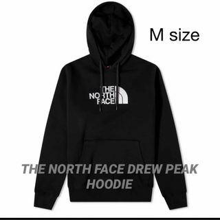 ザノースフェイス(THE NORTH FACE)のTHE NORTH FACE DREW PEAK HOODIE(パーカー)