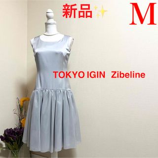 トウキョウイギン(TOKYO IGIN)の新品！東京イギン　Zibeline サテンチュール切替　ワンピース　ドレス　M(ひざ丈ワンピース)