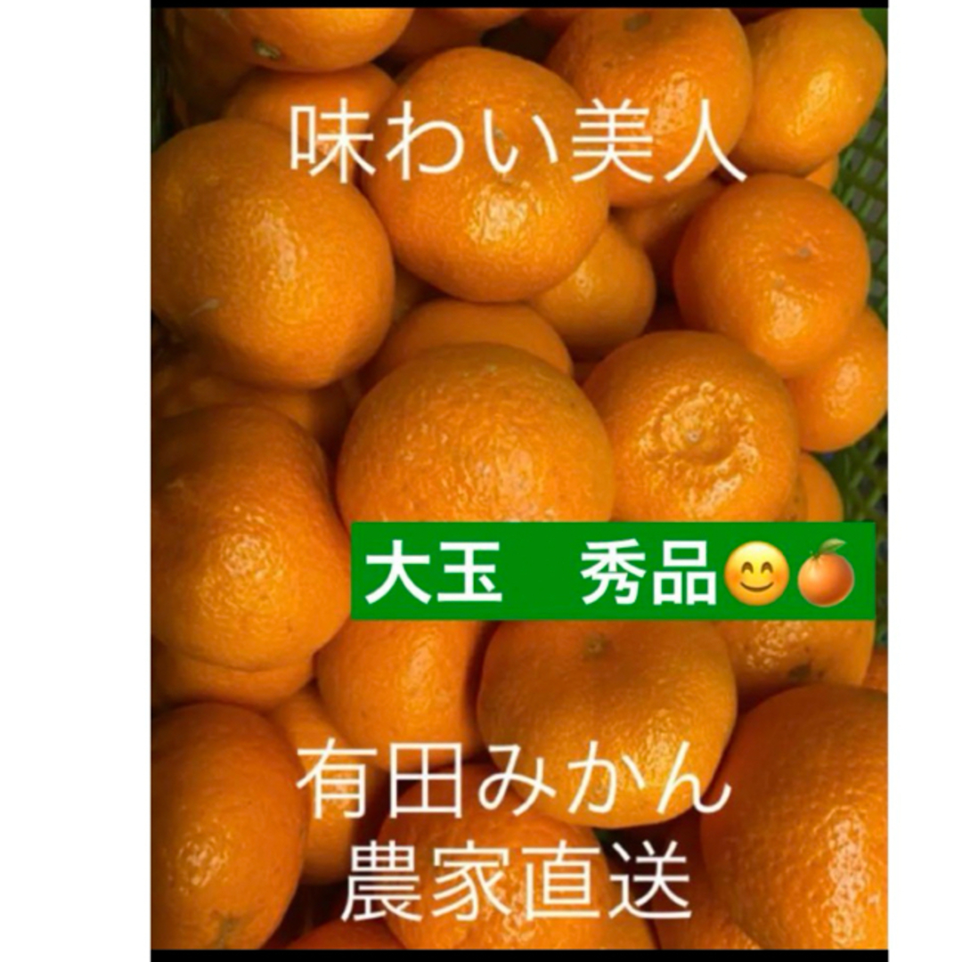 有田みかん農家直送⭐️ブランド味わい美人大玉秀品箱込み10キロ 食品/飲料/酒の食品(フルーツ)の商品写真