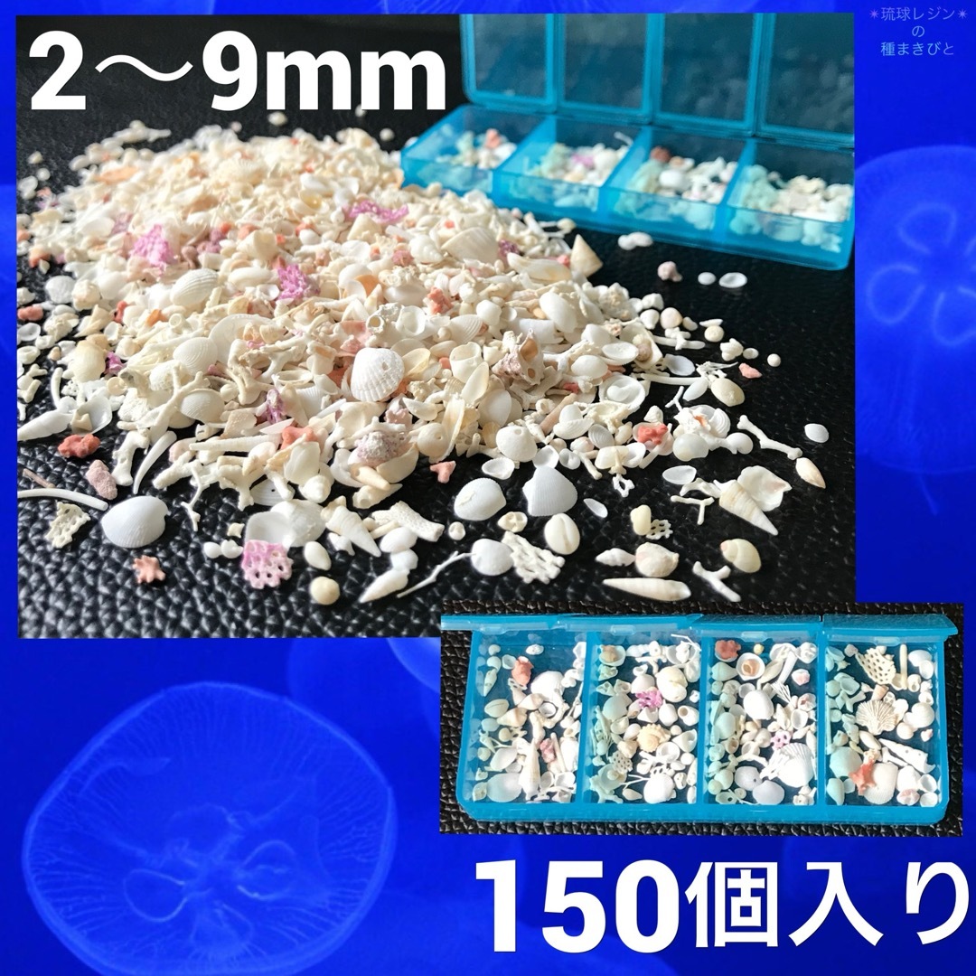 海のカケラ❣️( C ) 貝殻 巻貝 二枚貝 サンゴ ハンドメイドの素材/材料(各種パーツ)の商品写真