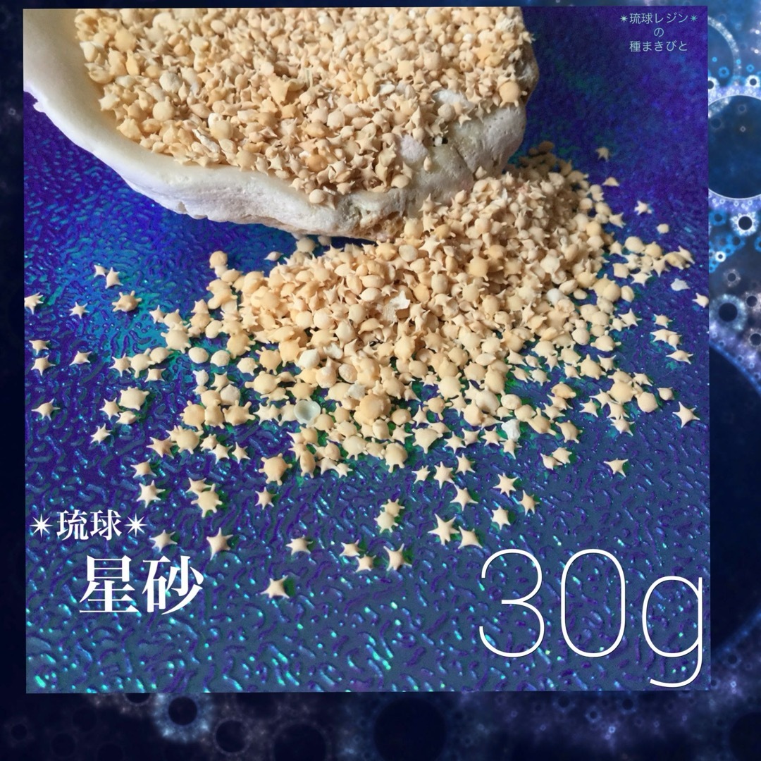 琉球*海のたね　星砂　星の砂　30g ハンドメイドの素材/材料(各種パーツ)の商品写真